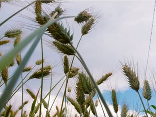 Alcuni degli scatti di Edvinas Dragoni presenti in mostra