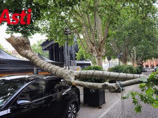 Le immagini del crollo (Merphefoto)