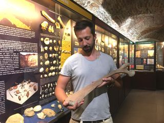 costa di rinoceronte al Museo Paleontologico di Asti