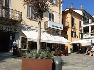 Albero secco in piazza Cavour