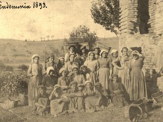 Vendemmia a Cassine, 1893