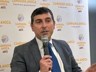 Diego Furia