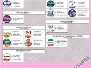Fac simile della scheda per la Camera