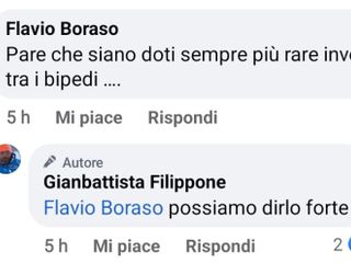 Il commento del dottor Boraso