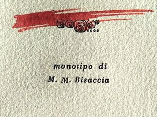 La copertina del libro, edito in tiratura limitatissima
