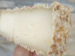 Pecorino La Margherita