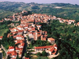Pino d'Asti