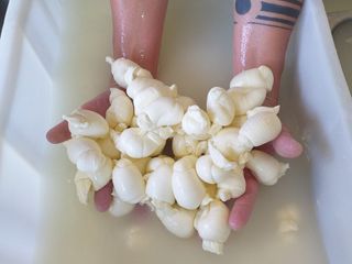 Trecce di Mozzarella a Nizza