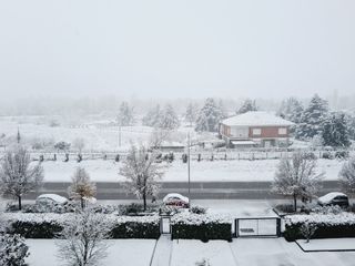 Asti via Cuneo (Alice Sansebastiano)