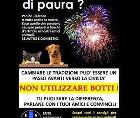 La locandina dell'Enpa
