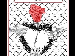 Copertina di &quot;Menti insolite'
