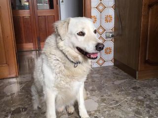 Monica con Palla