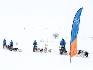 Altre immagini di precedenti spedizioni