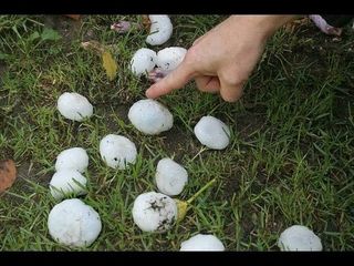 Grandine a Piovà Grandine a Piovà