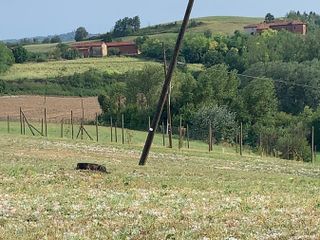 Torna il sereno a Montiglio
