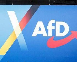 Germania, intelligence: Afd partito estremista di destra