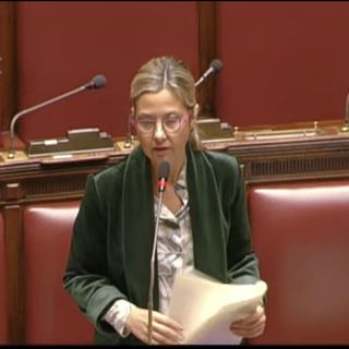 Mar Rosso, Gadda (Iv): &quot;Tavolo contro danni a export agroalimentare&quot;