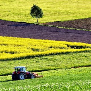 La Commissione propone una revisione mirata della politica agricola comune per sostenere gli agricoltori dell'UE
