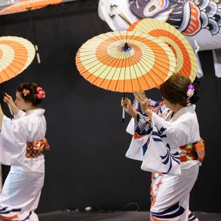 Appuntamento il 18 e 19 maggio a Cremona con Japan Show e Italian Koi Expo 2024
