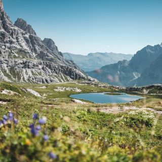 Il trenino verde delle alpi: un'escursione fuori dal comune