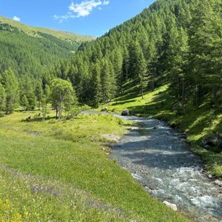 Settimana green e "Green wall": il Des Ambrois "fa la scelta giusta" con docenti e studenti, dialogando con il territorio valsusino