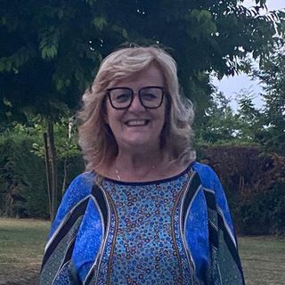 Rosanna Viotto, presidente CSVAA