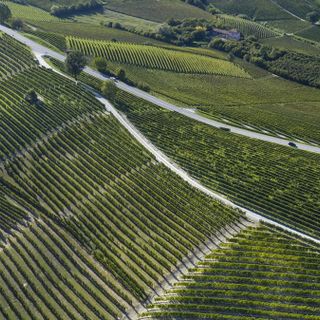 La rivista tedesca Weinwirtschaft premia la cantina Terre del Barolo come la migliore cooperativa italiana 2020