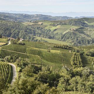Panorama di Langhe e Roero, foto di Marco Badiani