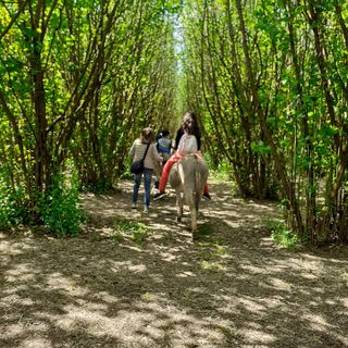Un'estate passeggiando nel verde... in sella a simpatici asinelli