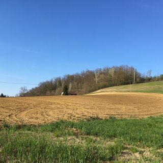Il campo di Cascina Melona