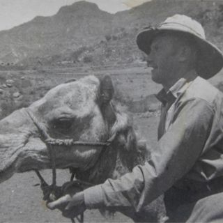 Scagliola sul dromedario nella guerra d'Africa