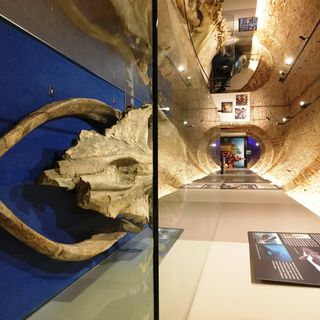 Elisa Valpreda, Marta Ferrero, Marco Fernicola, Massimo Cagnacci ed il cerimoniere Giovanni Boccia