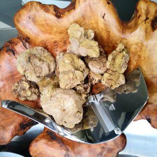 Si conclude Asti Palazzi del Gusto, in una veste rinnovata della Fiera del Tartufo