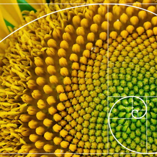 Al via un corso in progettazione e designer in Permacultura per le Valli Belbo e Bormida