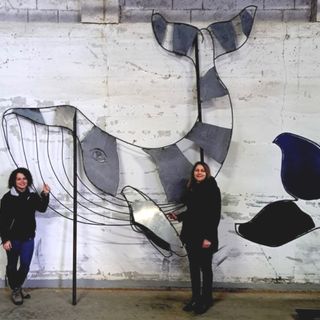 La balena in laboratorio con sindaco e artista