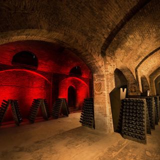 Le storiche cantine di Bosca