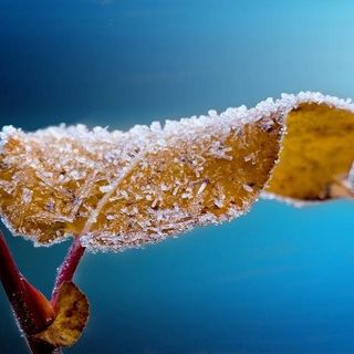 Gelate limitate ma temperature decisamente sotto la media stagionale