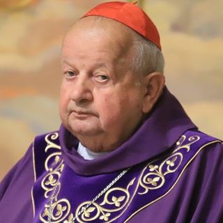 Il cardinale Stanislao Dziwisz