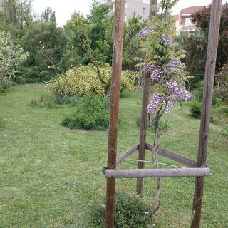 Con il FAI alla scoperta del &quot;Giardino segreto di Arianna&quot;, nelle domeniche 12 e 19 maggio