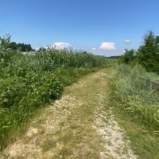 Alcune immagini postate dalla consigliera comunale Vittoria Briccarello