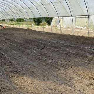 A Motta di Costigliole di applica un'importante innovazione agricola
