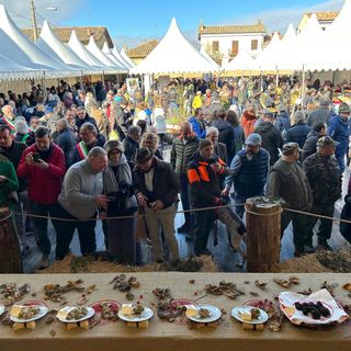 La Fiera Nazionale del Tartufo di Murisengo diventerà &quot;internazionale&quot;
