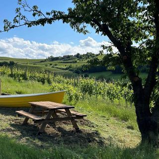 Una delle sette barche tra le vigne di Castelletto Molina