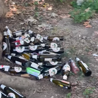 L'inciviltà arriva anche in piazza Campo del Palio:  sotto gli alberi una distesa di bottiglie di birra vuote [VIDEO]
