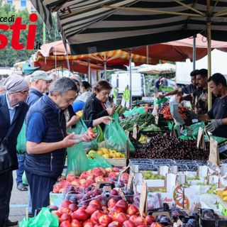 Asti, il Comune affida il noleggio di bagni chimici per il mercato di piazza Campo del Palio