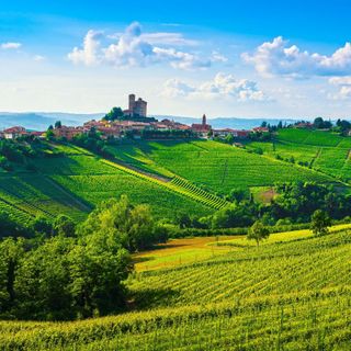 ONAV celebra Alto Piemonte e Gran Monferrato Città del Vino 2024