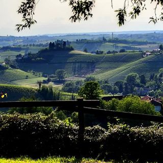 Panorama sull'Astigiano dal Bricco dei 31 paesi