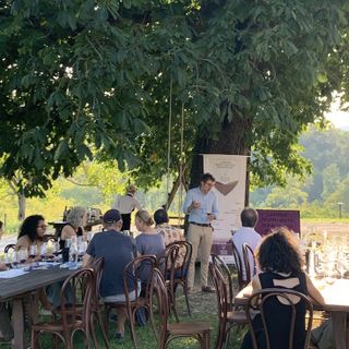 La Wine Academy di degustazioni gratuite per scoprire curiosità, storie e caratteristiche dei vini piemontesi