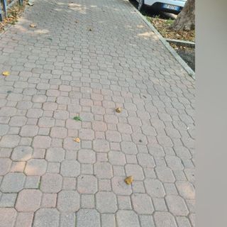 La foto inviataci dalla nostra lettrice con il marciapiede imbrattato di deiezioni canine
