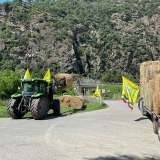 Consegnate le prime 70 rotoballe di fieno solidale donate da Coldiretti Asti alle aziende valdostane